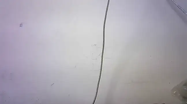 Snapshot of mrose8080 chatting on 03-06-25, 02:08 mrose8080 online show from 03-06-25, 02:08