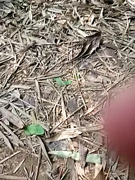 Blanco2023 online show from 02-20-25, 06:02