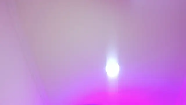 nalalye cruzz  online show from 04-05-26, 03:04