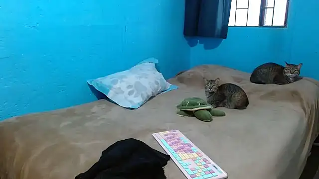 Snapshot of clarisse69 chatting on 03-18-25, 05:10 clarisse69 online show from 03-18-25, 05:10