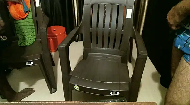 indian2 online show from 12-21-24, 04:46