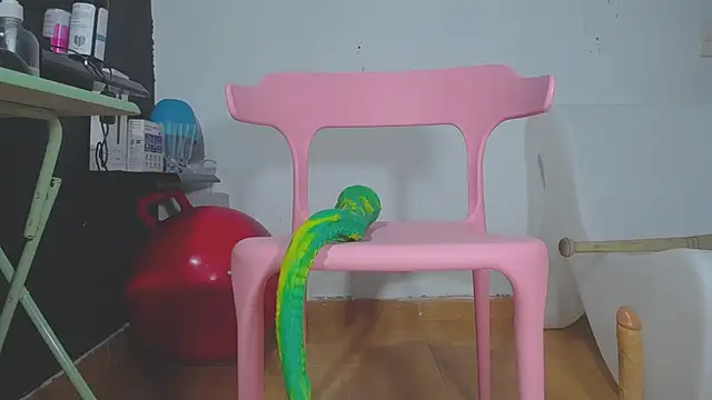 girl squiting online show from 01-30-25, 03:22