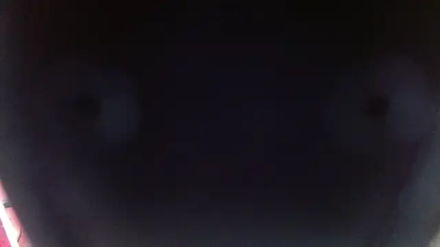 sofia perez    online show from 12-26-24, 07:49