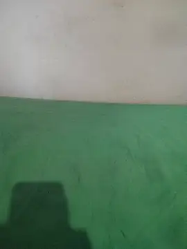  Scorpion  online show from 02-11-25, 07:38