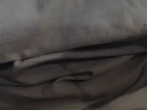 Snapshot of LatinoSized chatting on 12-13-24, 11:06 LatinoSized online show from 12-13-24, 11:06