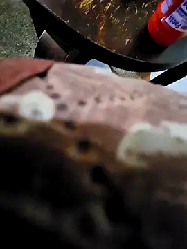 pajarol5co online show from 01-26-25, 12:16