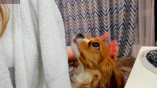 Snapshot of Peggy_Beauty chatting on 01-15-25, 12:19 Peggy Beauty online show from 01-15-25, 12:19