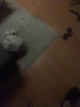 Snapshot of chrille82 chatting on 11-21-25, 06:06 chrille82 online show from 11-21-25, 06:06