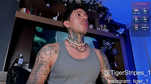 TigerStripes1  online show from 01-04-25, 04:44