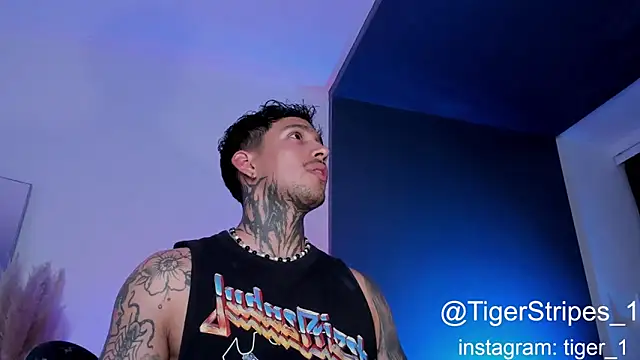 TigerStripes1  online show from 02-01-25, 02:37