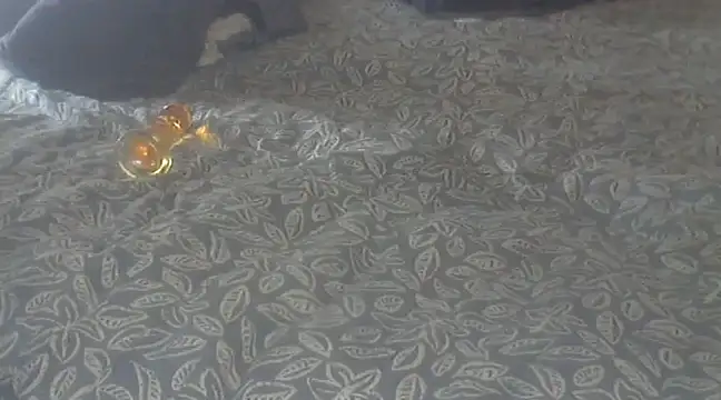 michaelknight101 online show from 12-15-24, 01:22