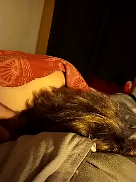 PIercingBoy38 online show from 11-26-25, 09:16